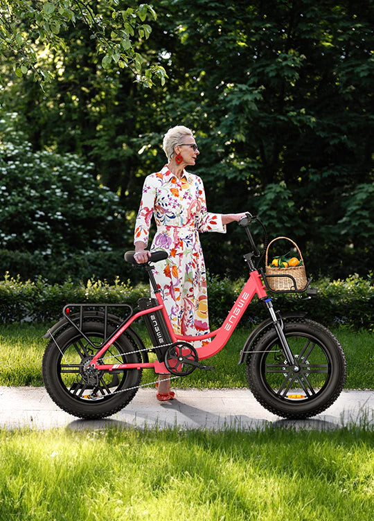 ENGWE L20 250W 140km Max Speed 25 km/h Front Suspension Step-Thru E-bike