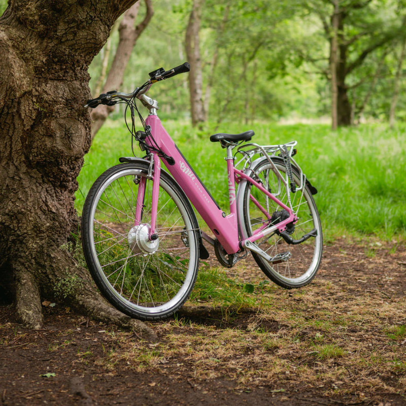 Emu Classic Step Through Electric Bike