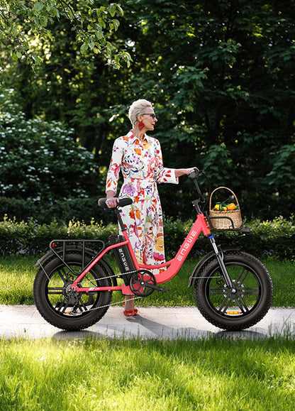 ENGWE L20 250W 140km Max Speed 25 km/h Front Suspension Step-Thru E-bike
