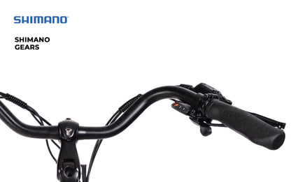 Aarhus+ Step Through E-Bike
