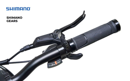 Vester Foldable E-Bike