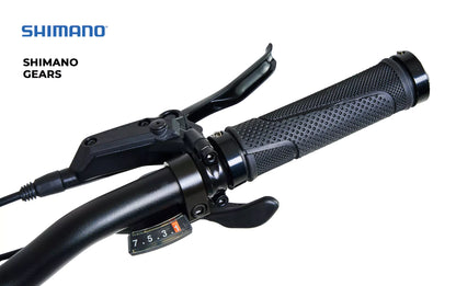 Virum Step Foldable E-Bike